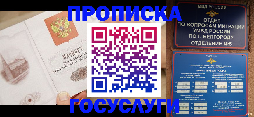 временная регистрация адрес в Жердевке